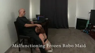 The Malfunctioning Frozen Robot maid 5