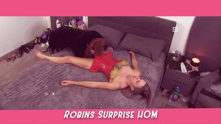 Superheroine Robins Surprise HOM