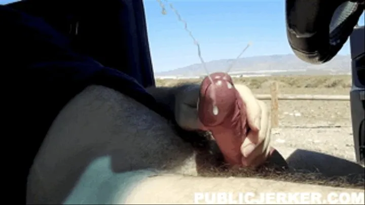 public jerk 45