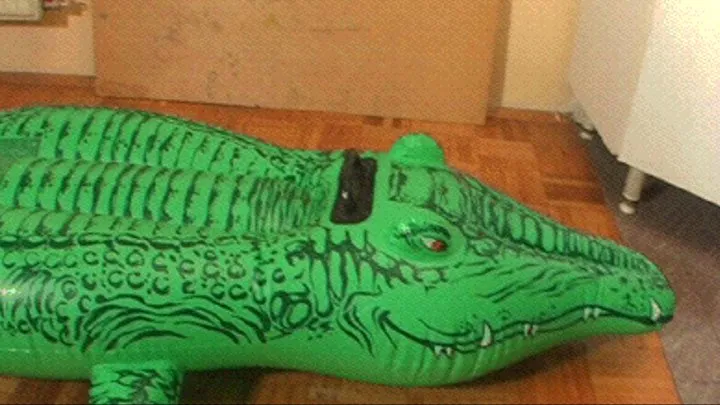 Alligator