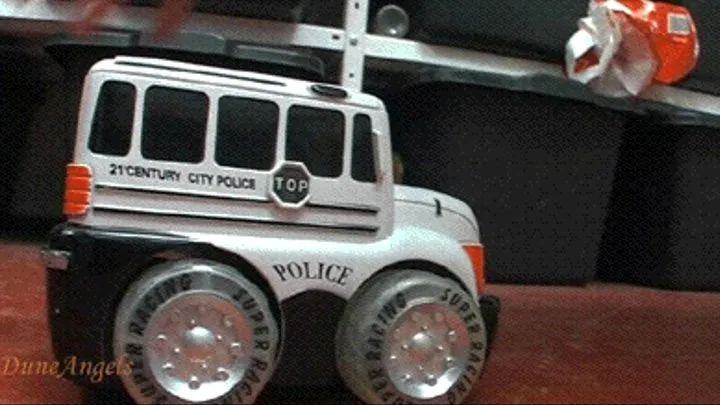 City police