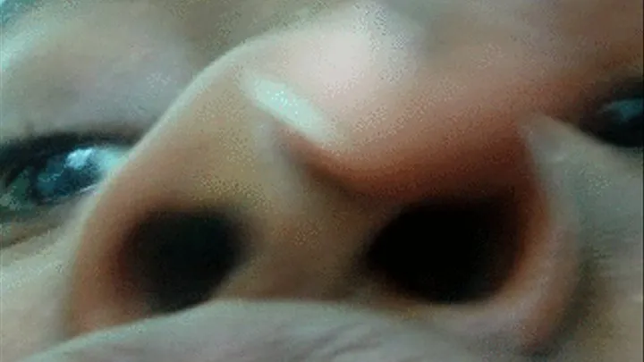 Snorting Snout Piggy