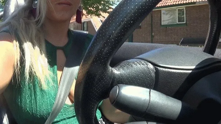 Driving on a Sunny Day