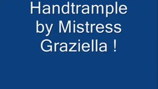 Handtrample by Mistress Graziella!