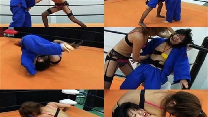 The Martial Artist has Fallen!