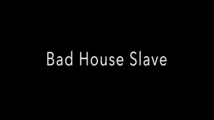 Bad House Slave