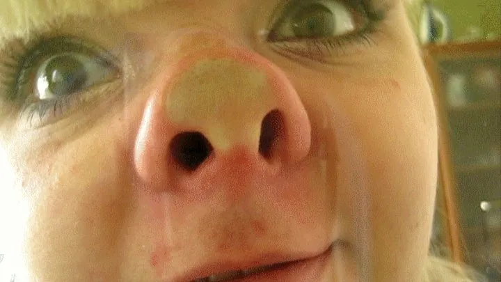 Pig nose