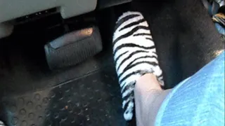 Go Faster Zebra Slippers