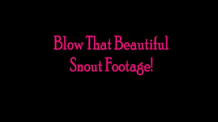 Blow That Beautiful Snout Footage