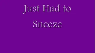 Just Had to Sneeze