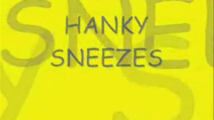 Hanky Sneezes