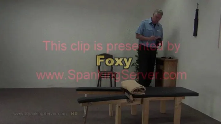 Foxy strapping 1407