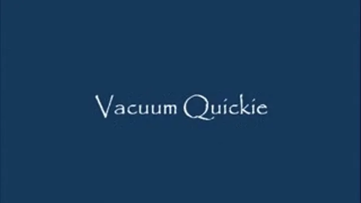 Quickie Vacuum