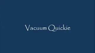 Quickie Vacuum