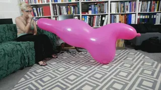 Amanda Blows a C&F Giant Elephant Figurine Balloon