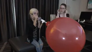 Alice and Tiny Texie Blow and Compare Two Different 14-inch Balloons