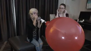 Alice and Tiny Texie Blow and Compare Two Different 14-inch Balloons