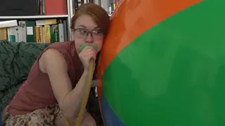 Dolly Investigates the Giant Beachball