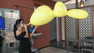 Sushii Blows a Giant Bunny Balloon