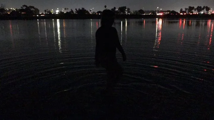 Silhouette Night Swim