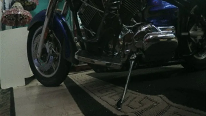 Shiny Boot Motorcycle Pump