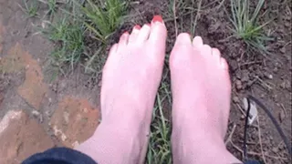 Feet in the dirt