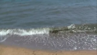 Feet in sand