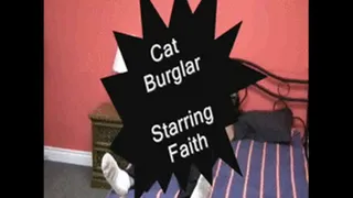 zCAT BURGLAR PART 1