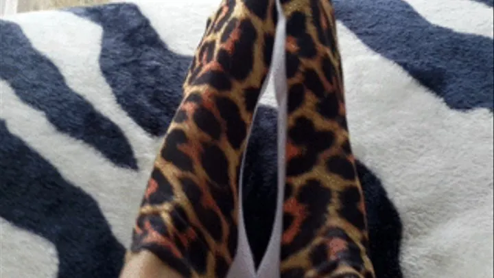 CUM COUNTDOWN CHEETAH GODDESS SOCKS by Goddess Bianca