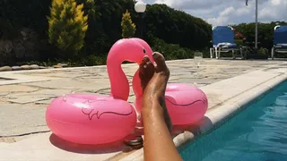 WET AND PROVOCATIVE FEET by Goddess Bianca