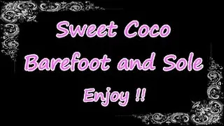 Sweet Coco Barefoot - Sunset on the beach part 9