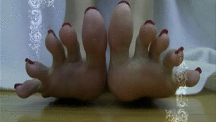 Toes for you Front