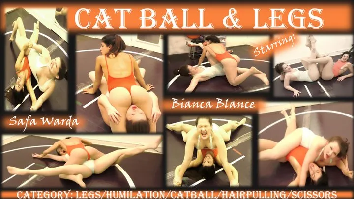 CATBALL AND LEGS BIANCA BLANCHE SAFA WARDA CHICAGO EDIT