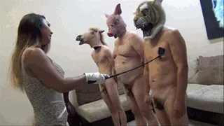 A MENAGERIE OF HUMILIATION AND DEGRADATION. Starring Queen Darla