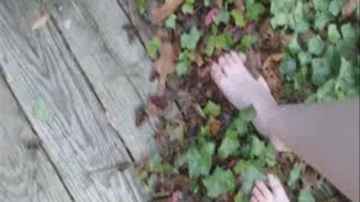 Feet in Leaves
