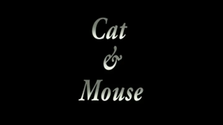 Cat and Mouse