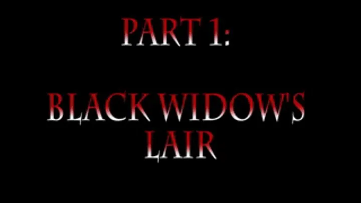 Black Widow's Lair