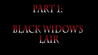 Black Widow's Lair