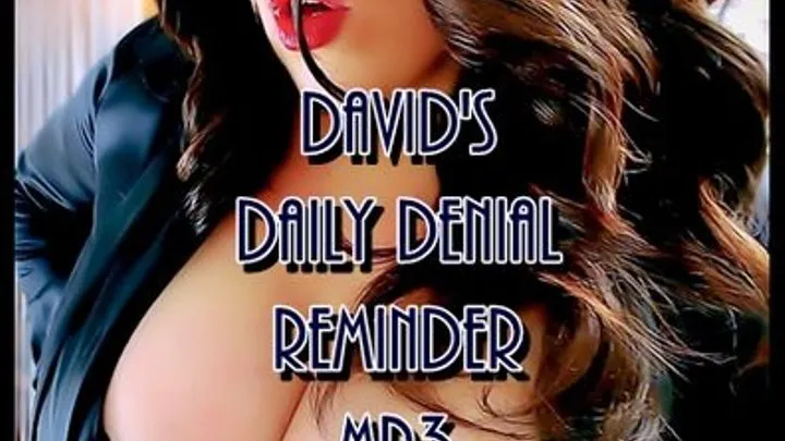 David's Daily Denial Reminder - Custom - MP3