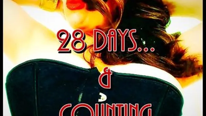 28 Days & Counting - MP3 - Custom