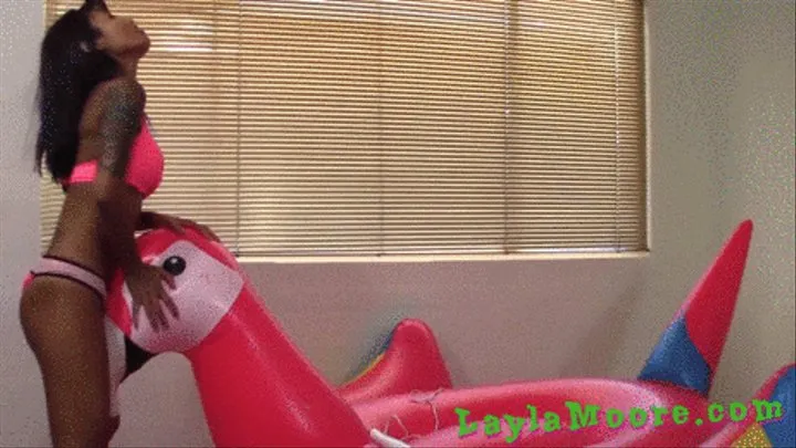 Asia Perez Squirts All Over the Inflatable Parrot!