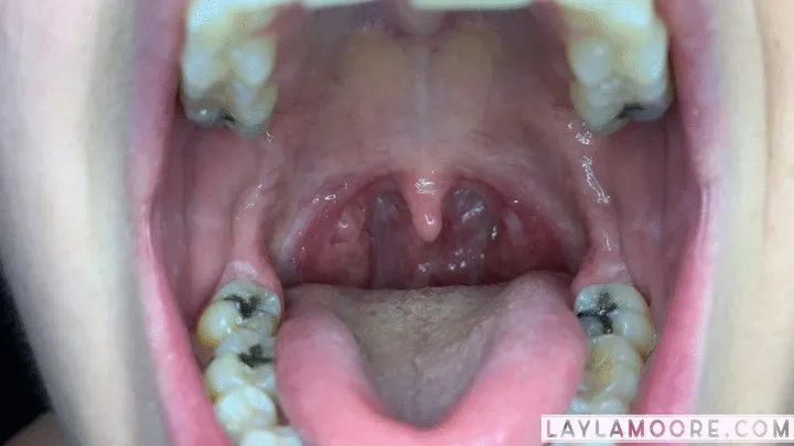 Deep Inside Of Amanda Bryant's Mouth!