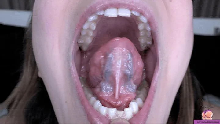 Ayla Aysel's Hot Wet Mouth Tour, *