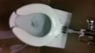 Public Bathroom Brown Clip #2 ~ Walmart
