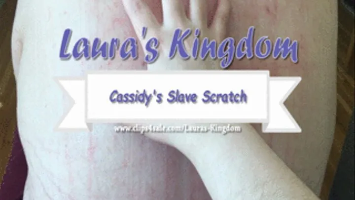 Cassidy's Slave Scratch!