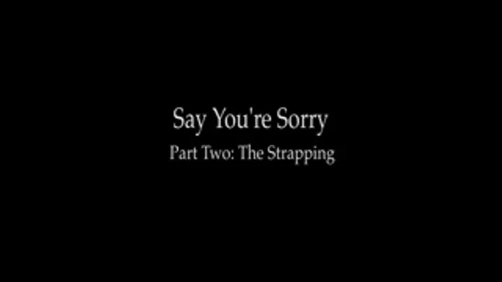 Say you're sorry! Pt 2