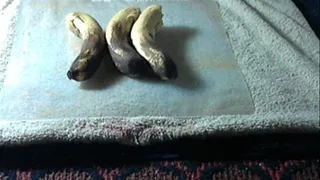 Crushing bananas under my feet