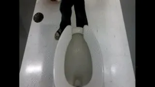 toilet pee comp