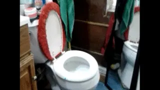 Toilet squatting