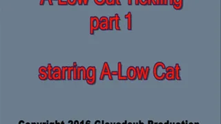 A-Low Cat Tickling Part 1 MP4